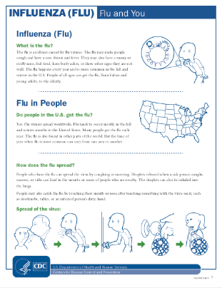 The Flu and You