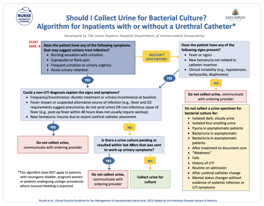 Urine Culture Algorithm