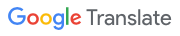 Google Translation Feature